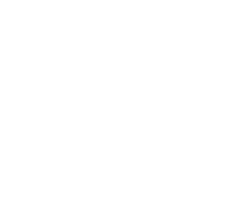 Bling logo