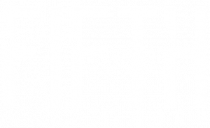 FIFTH Corp.